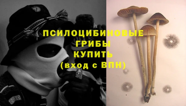 прущая мука Гусь-Хрустальный