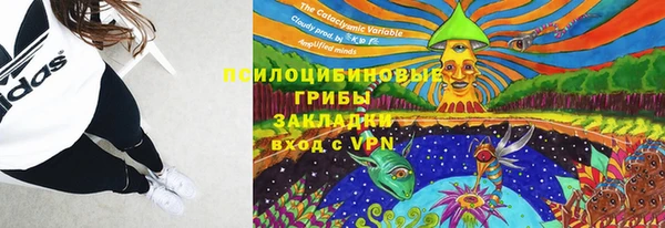 тгк Гусиноозёрск