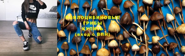 тгк Гусиноозёрск