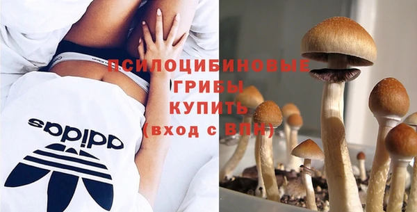 тгк Гусиноозёрск