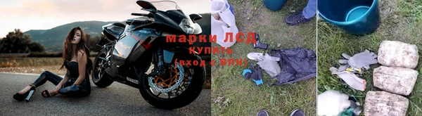 стаф Дмитров