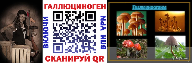 Галлюциногенные грибы прущие грибы  Купить где  Щигры 